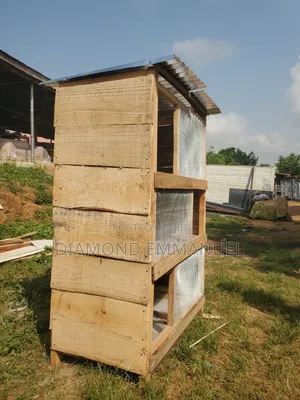 Chicken Cage