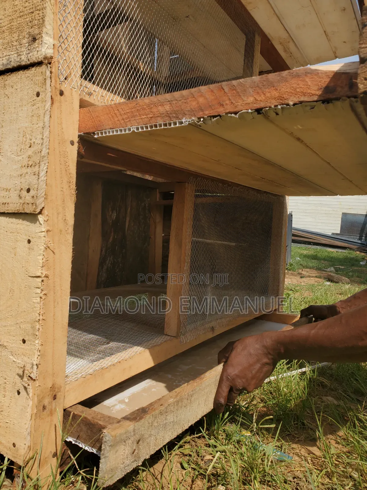Chicken Cage