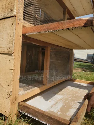 Chicken Cage