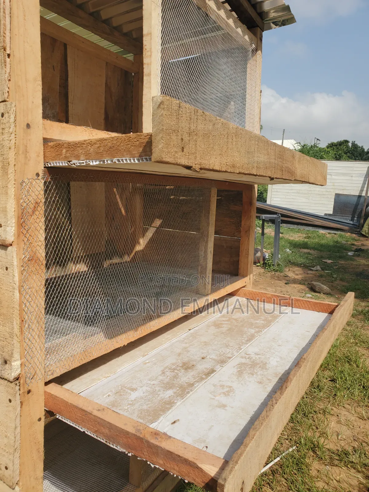 Chicken Cage