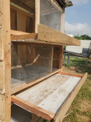 Chicken Cage
