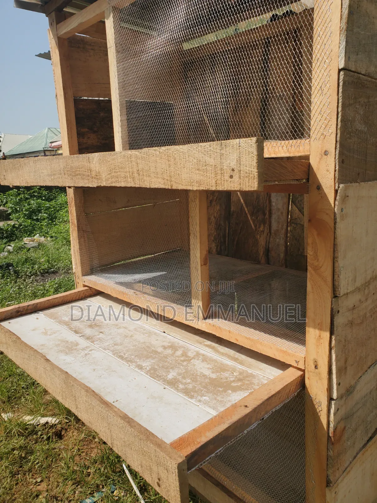 Chicken Cage