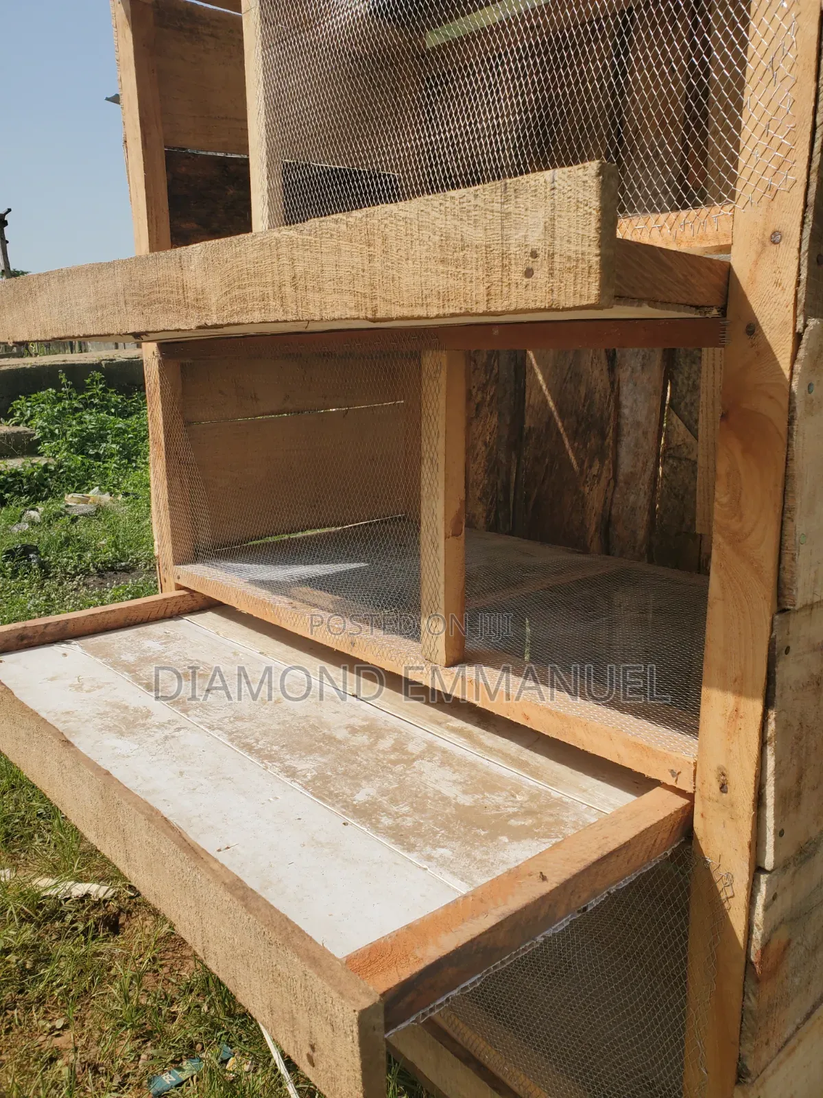 Chicken Cage