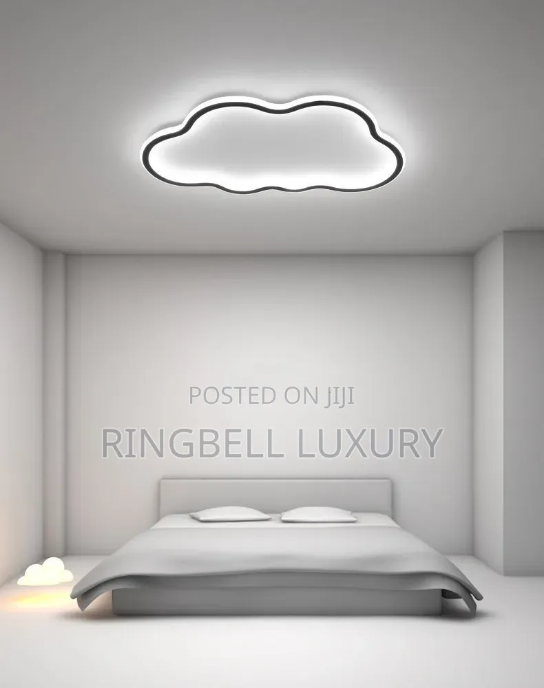 Ceiling Mount Light