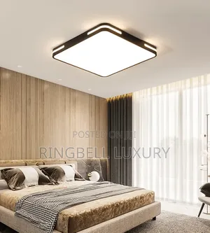 Ceiling Mount Flush Light