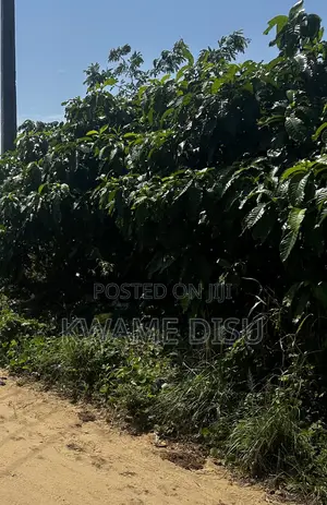 30x120 Half Plot of Dry Land in Ogboro Imeke Badagry