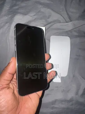Apple iPhone 15 Pro Max 256 GB White