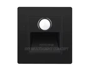 Motion Step Light
