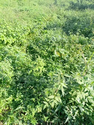 1,089sqm Residential Land at Park Manor