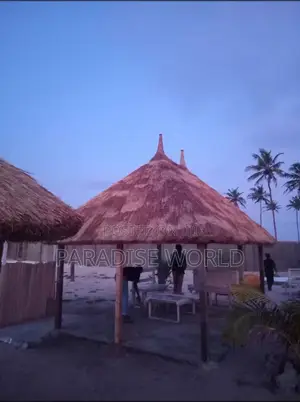 Thach House, Bush Bar