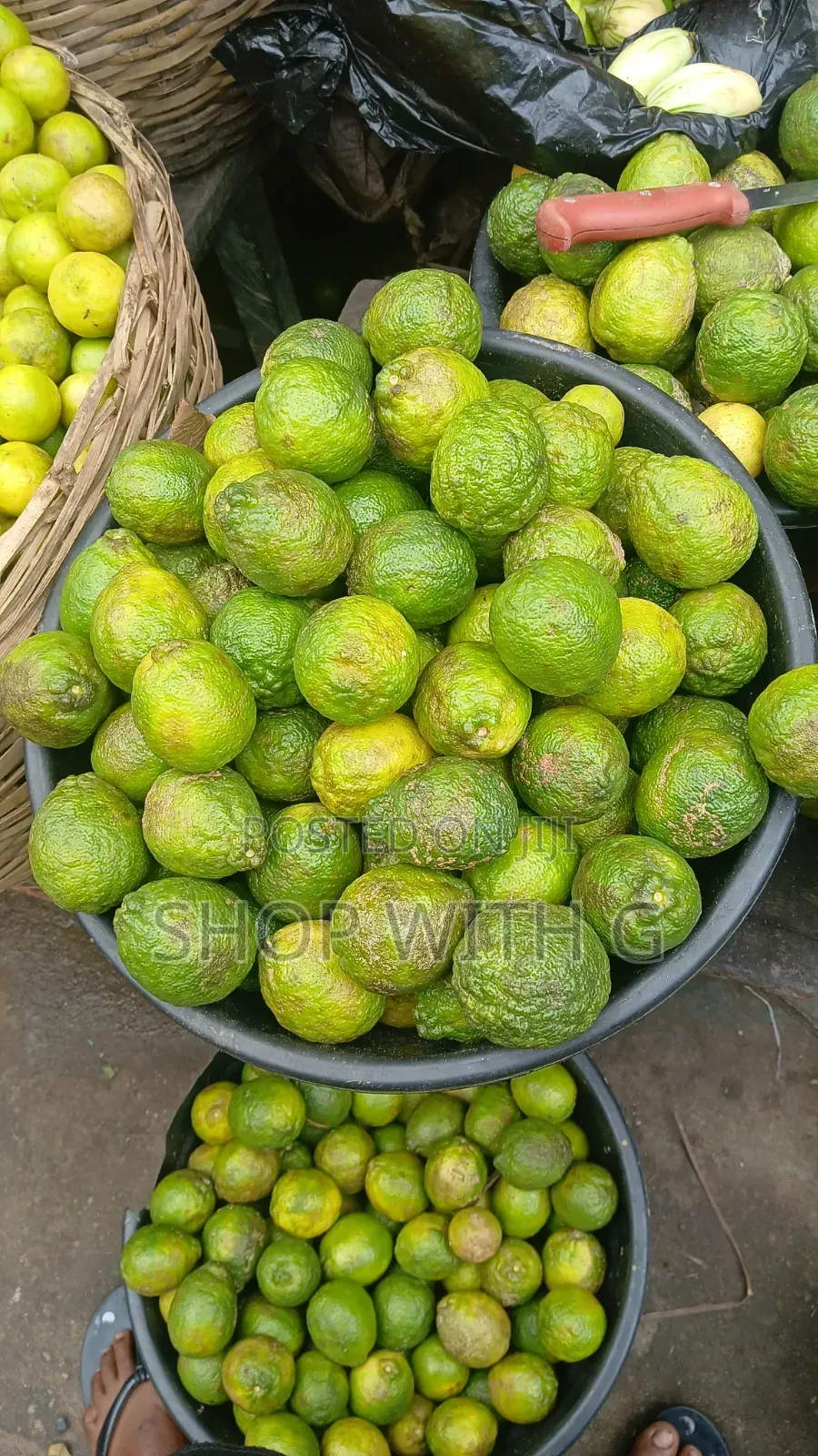 Fresh Lemon