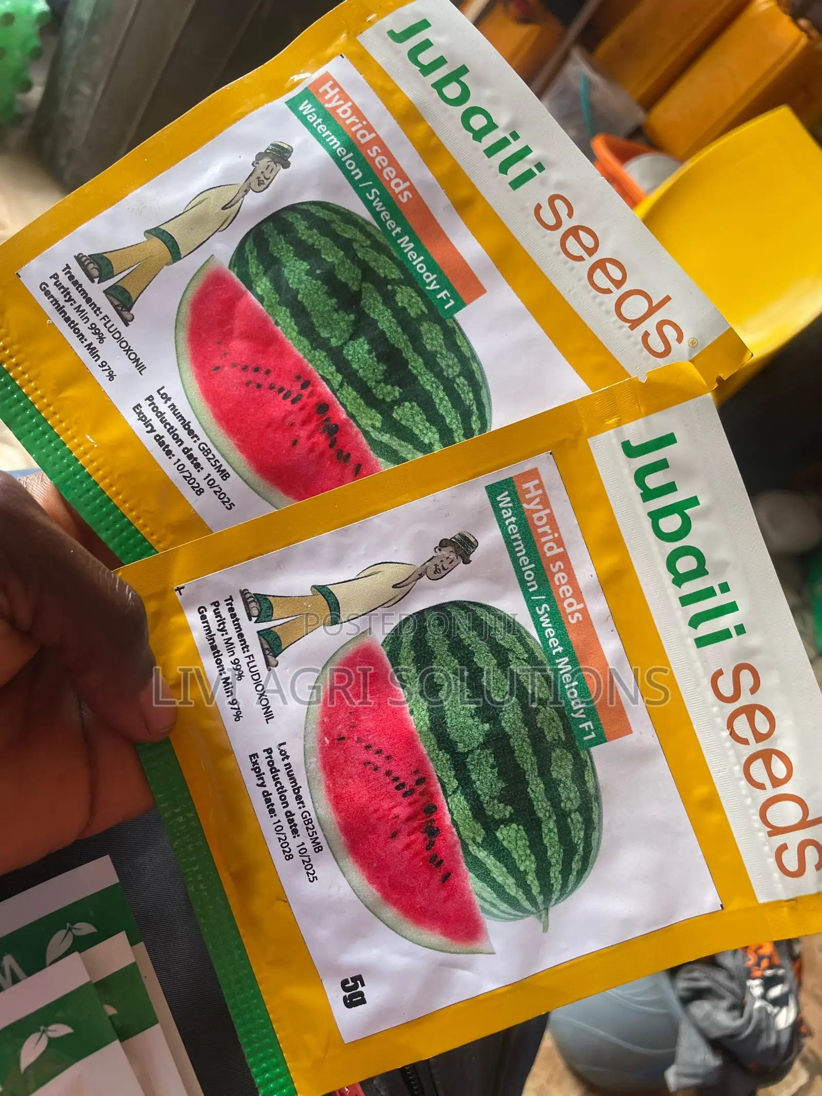 Water Melon, Sweet Melody F1