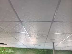 Suspended Ceiling