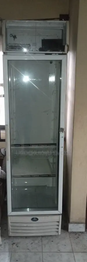 Large Size 400Litres Upright Commercial Display Fridges