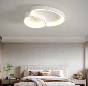 Modern LED Ceiling Lamp