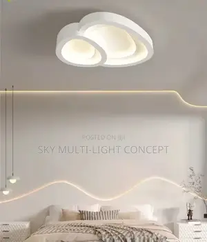 Modern LED Ceiling Lamp