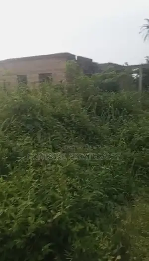 Urgent Sale: 50x100ft Plot in Orior Community, Benin City (₦2.5M)