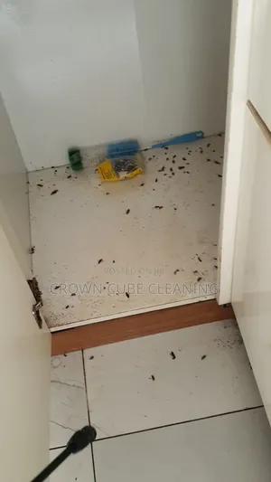 Let’S Make Your Space Fumigated, Fumigation Expert