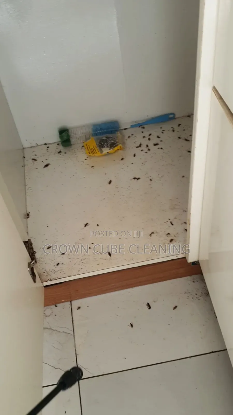 Let’S Make Your Space Fumigated, Fumigation Expert