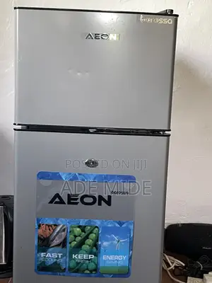 Few Weeks Old Almost New Aeon Neat Double Door Refrigerator