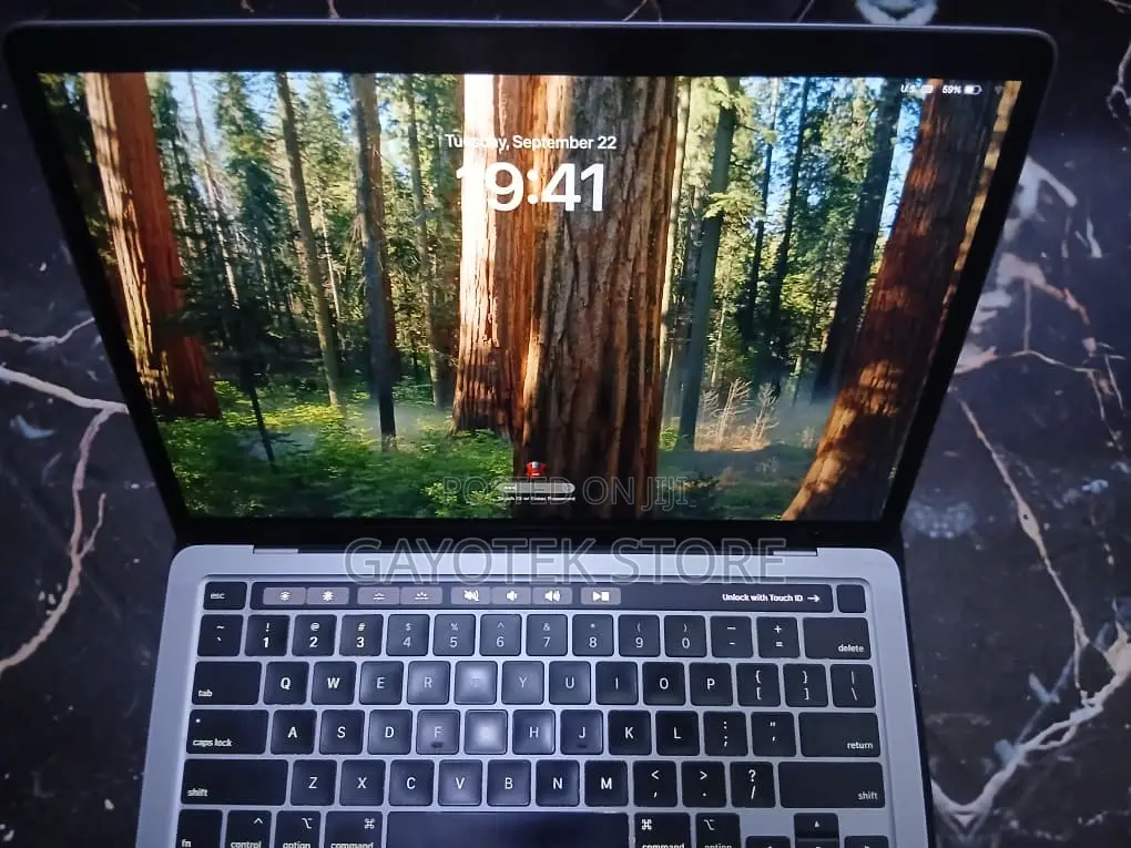 Laptop Apple MacBook Pro 2020 8GB Intel Core i5 SSD 256GB