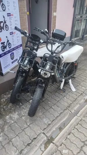 Electric Bicycle