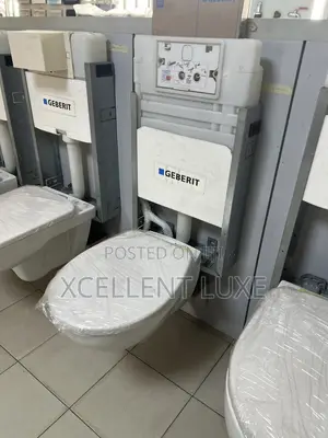 Geberit Bastia Wall Hung WC Toilet With Conceal Tank
