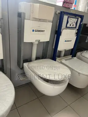 Geberit Premium Selnova Wall Hung WC Toilet and Concealed Tank