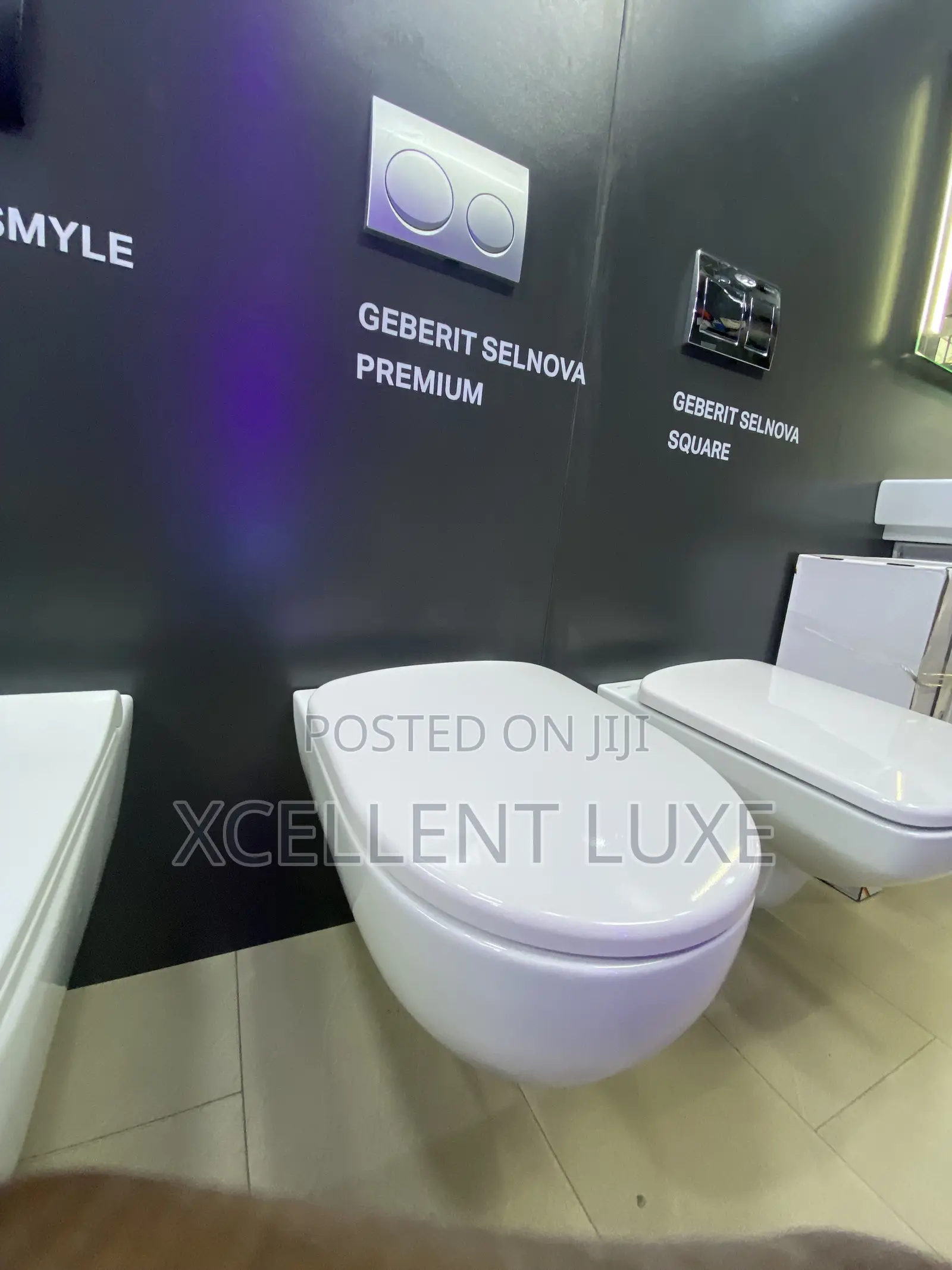 Geberit Premium Selnova Wall Hung WC Toilet and Concealed Tank
