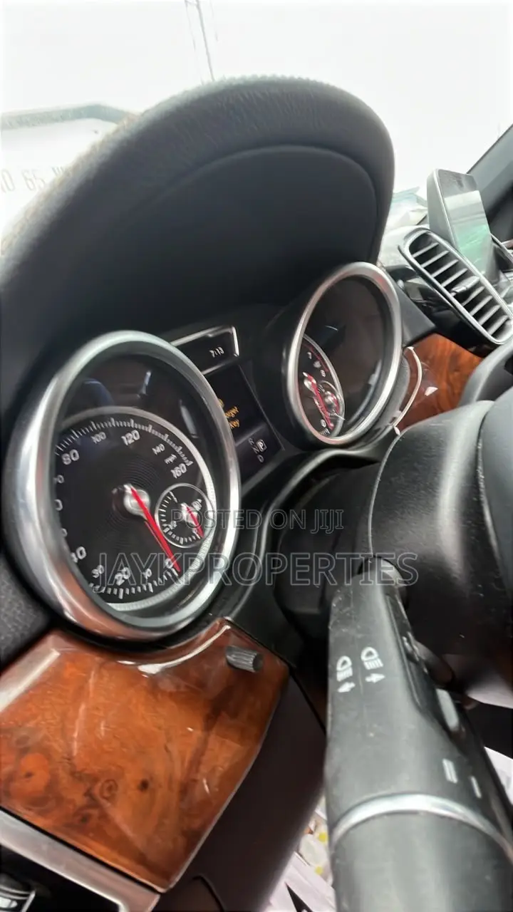 Mercedes-Benz GLS-Class 2018 Red