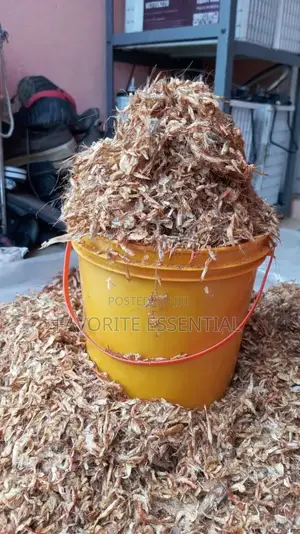 Quality Crayfish for Sale | Wholesale & Retail | Affordable Prices