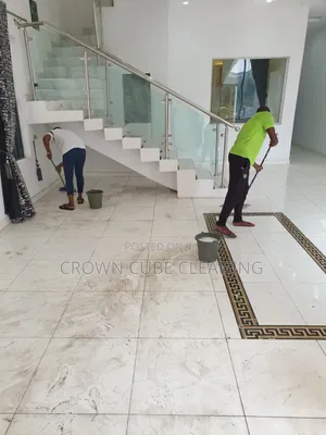 New House Cleaning//chair and Sofa Cleaners