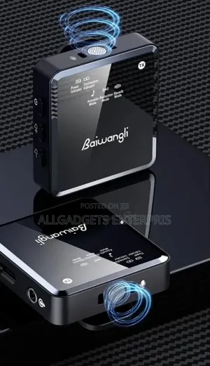 Baiwangli Sx39 Wireless Microphone