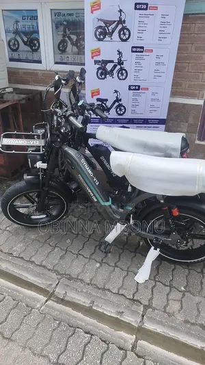 Electric Bicycle