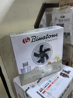 Binatone WF-1802 18-Inch Oscillating Wall-Mounted Fan