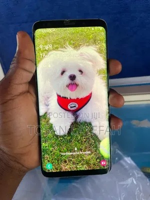 Samsung Galaxy S9 Plus 64 GB Blue
