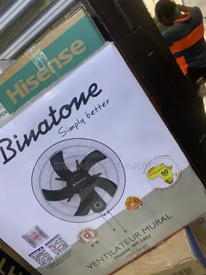 Binatone 18-Inch WF-1802 Oscillation Cooling System