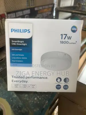 17watts Philip Surface Ceiling Light
