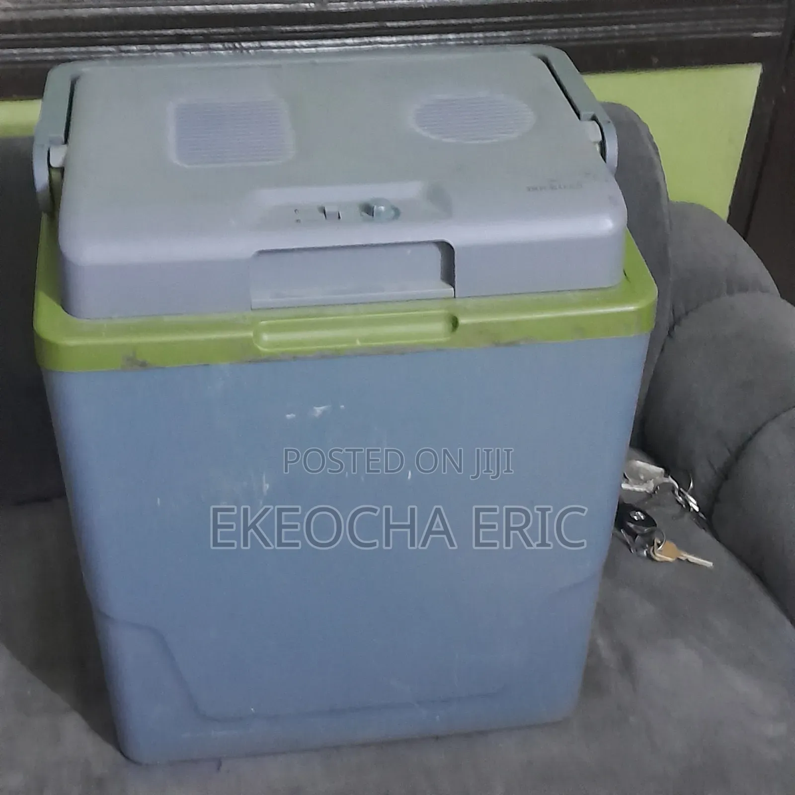 Electric Cooler
