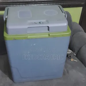 Electric Cooler
