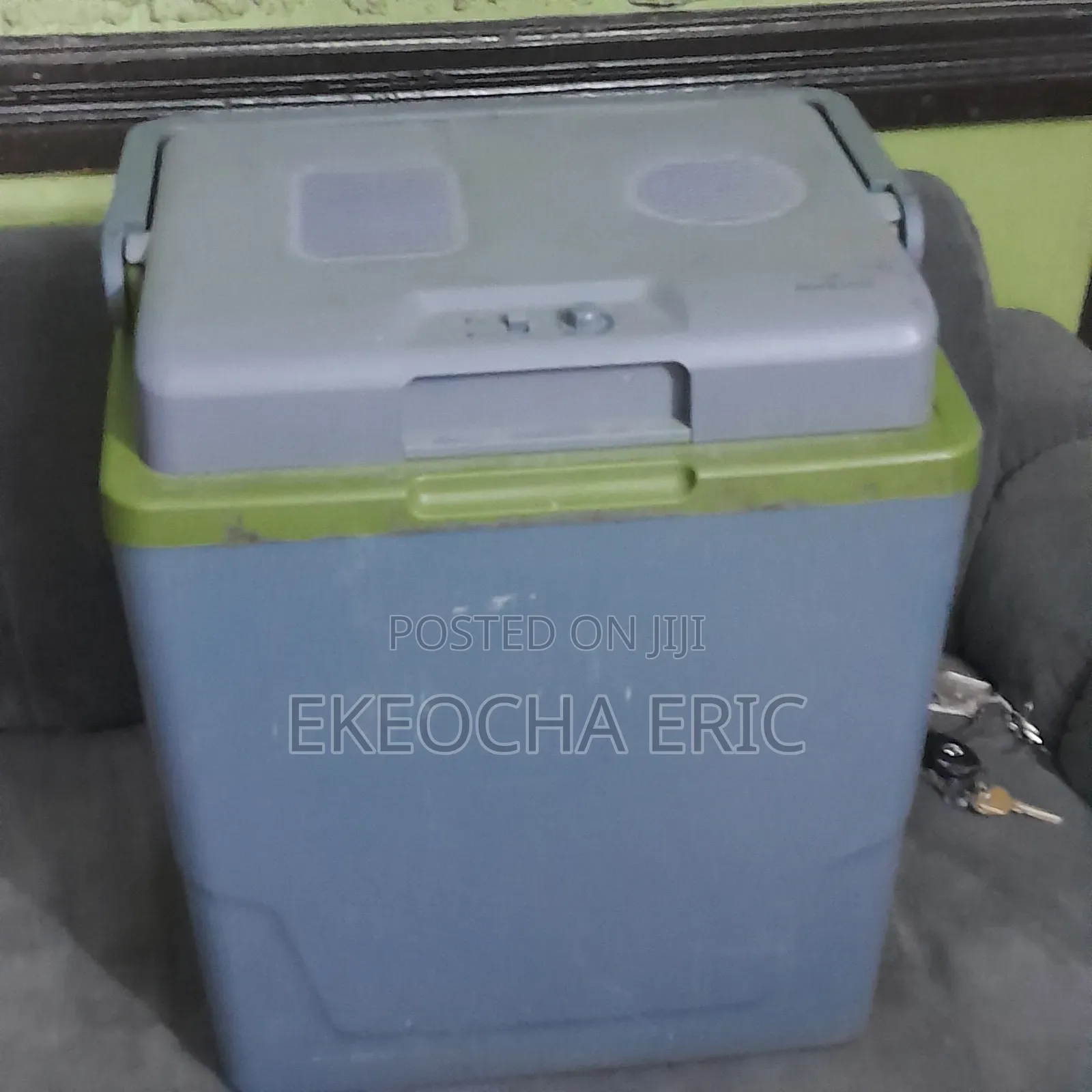 Electric Cooler