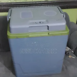 Electric Cooler