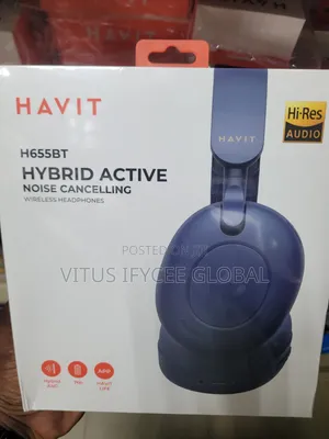 Havit H655 Hybrid Headphone