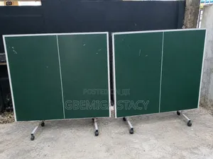 Imported Hi-Tech Table Tennis