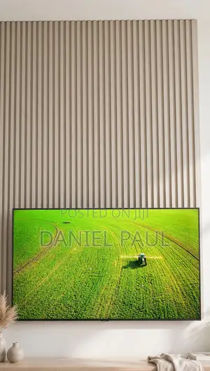Samsung 55 Smart TV