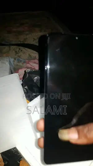 Samsung Galaxy S21 Ultra Amoled Screen