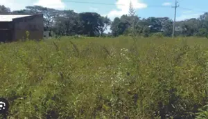 Chief Land for Sale at Moko, Dutse Makaranta