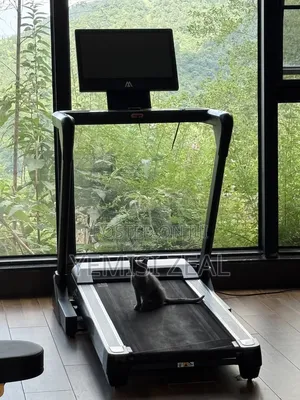 5HP Treadmill With Free Delivery and Installation