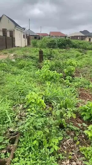 2 & Half Plot at Wisdom, Akobo