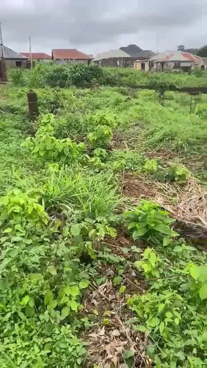 2 & Half Plot at Wisdom, Akobo